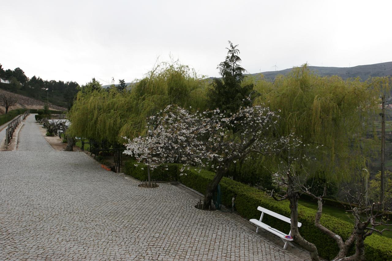 Quinta Da Timpeira Hotel Lamego Buitenkant foto